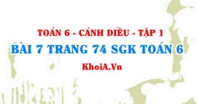 Bài 7 trang 74 SGK Toán 6 tập 1 Cánh Diều